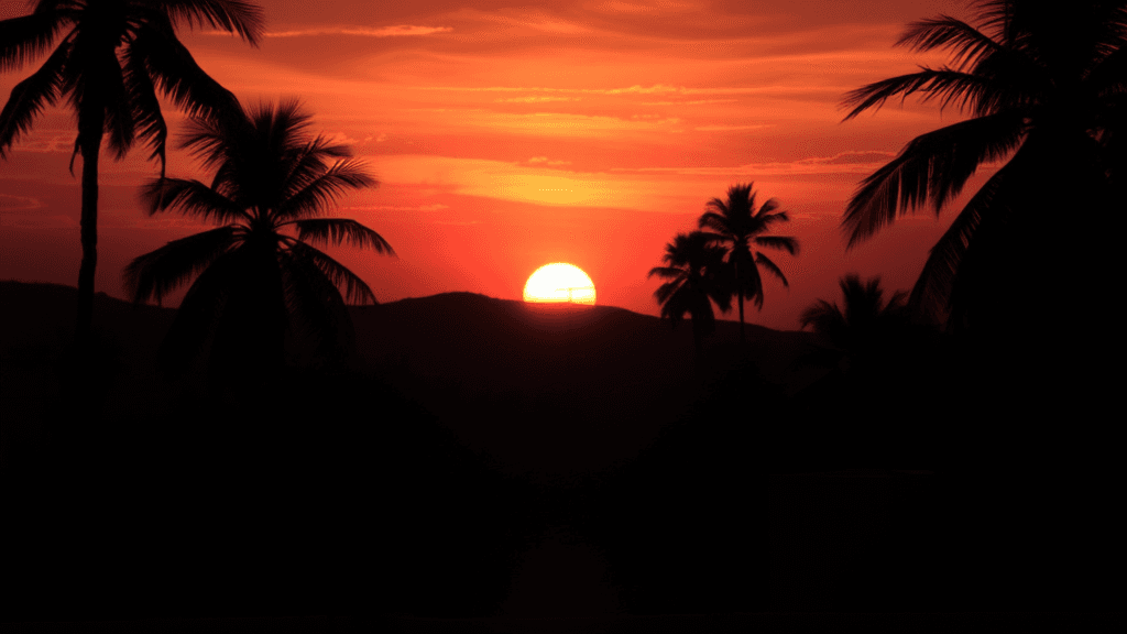 Sunset aesthetic gallery image 3